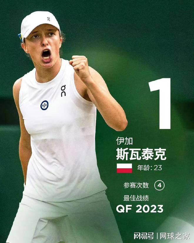 在公众眼中 在公众眼中