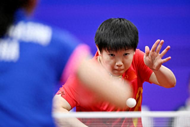 翼或功能型 翼或功能型